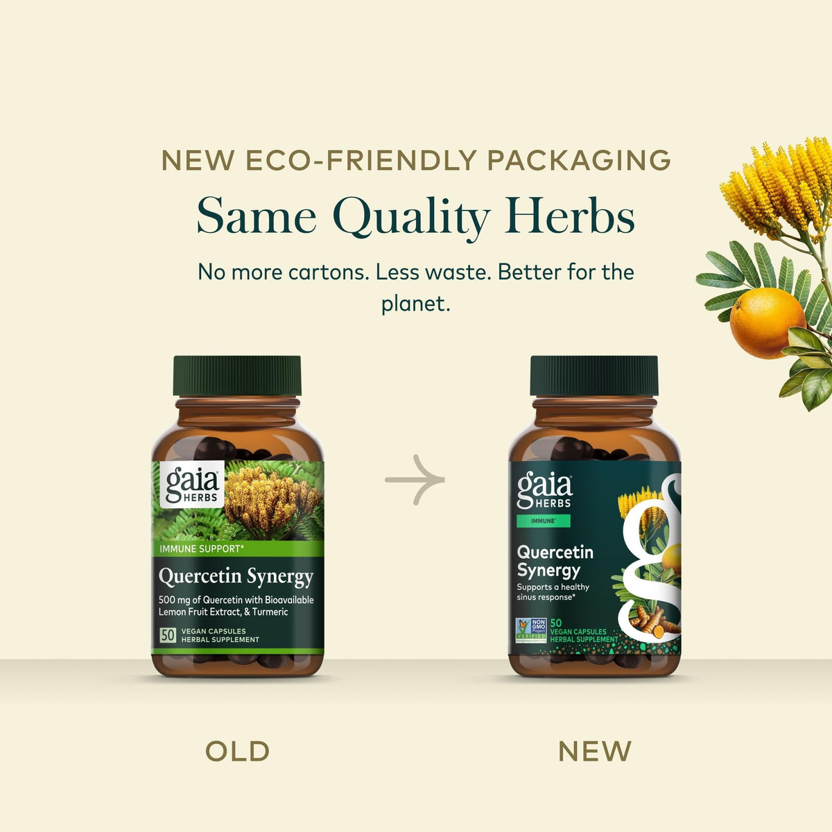 Gaia Herbs Quercetin Synergy en main pour montrer la taille