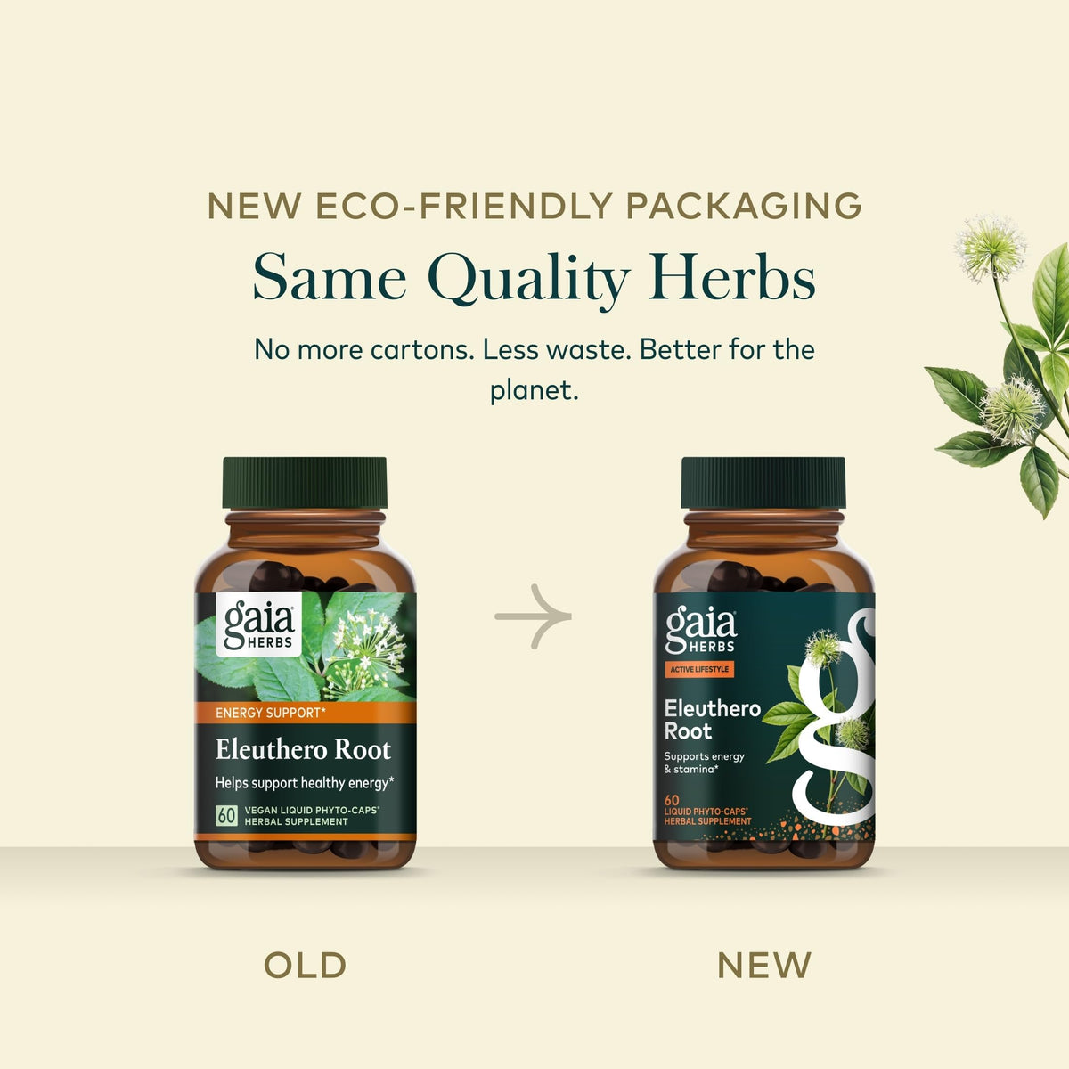 Gaia Herbs Racine d'Éleuthéro, capsules dans un verre