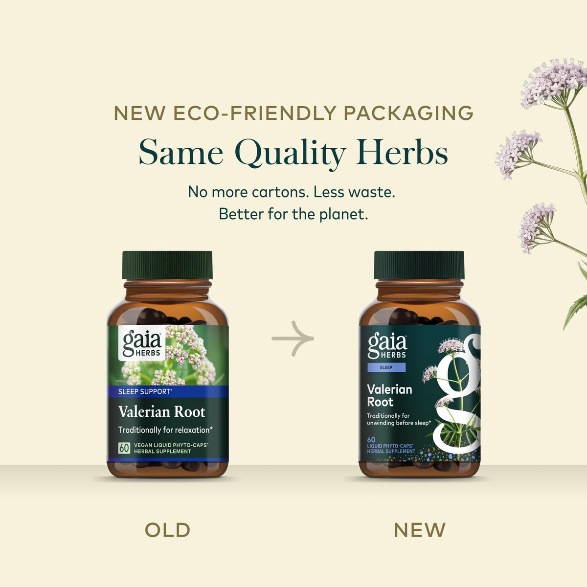 Gaia Herbs Racine de Valériane 60 Capsules Végétales avec une tasse de thé