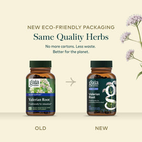 Gaia Herbs Racine de Valériane 60 Capsules Végétales avec une tasse de thé