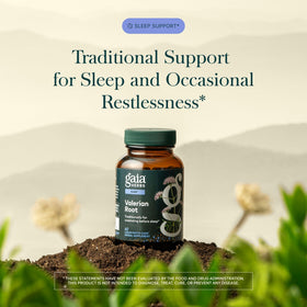 Gaia Herbs Racine de Valériane 60 Capsules Végétales côté droit