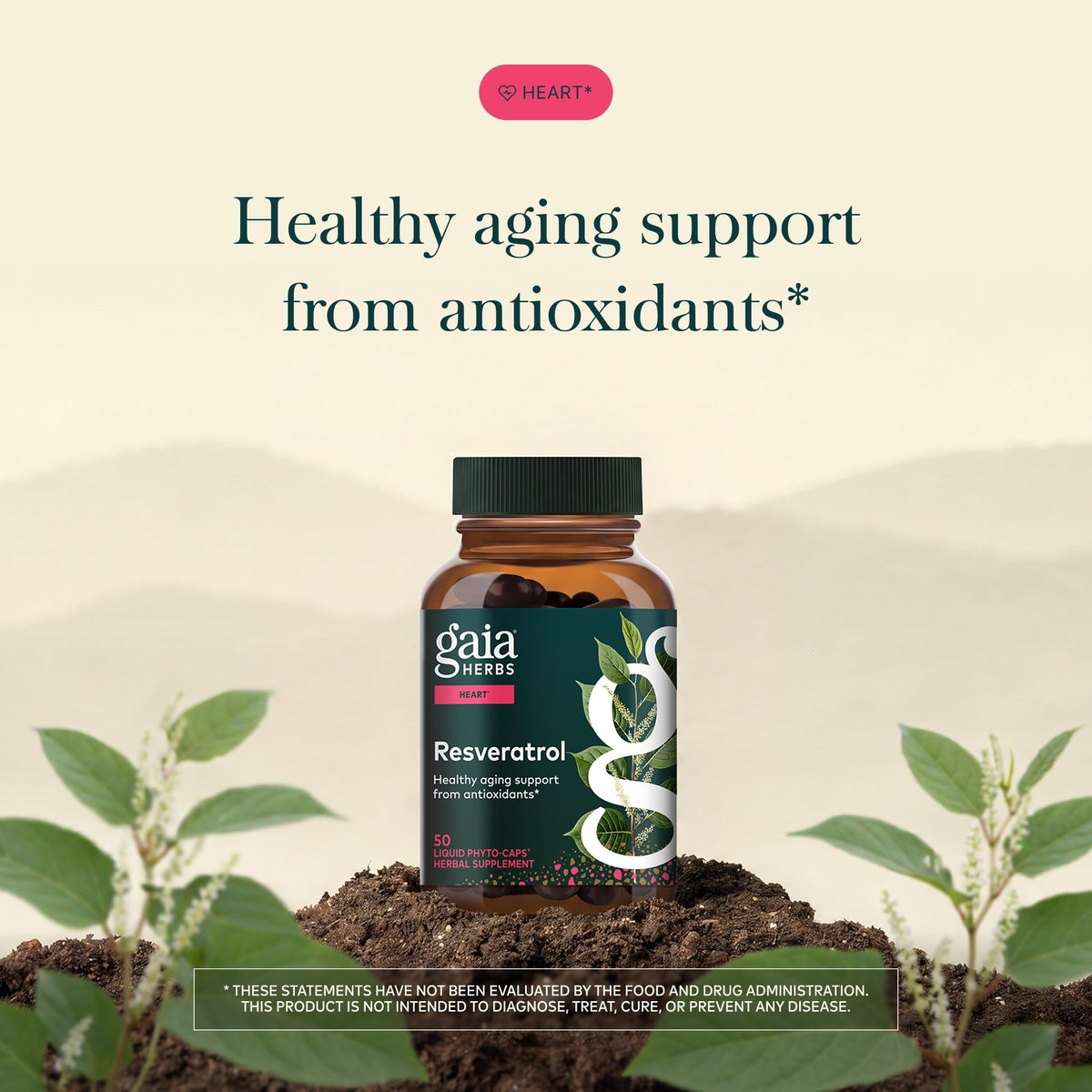 Gaia Herbs Resveratrol capsules sur une surface en bois