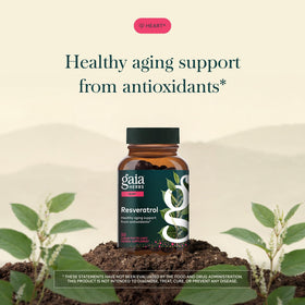 Gaia Herbs Resveratrol capsules sur une surface en bois