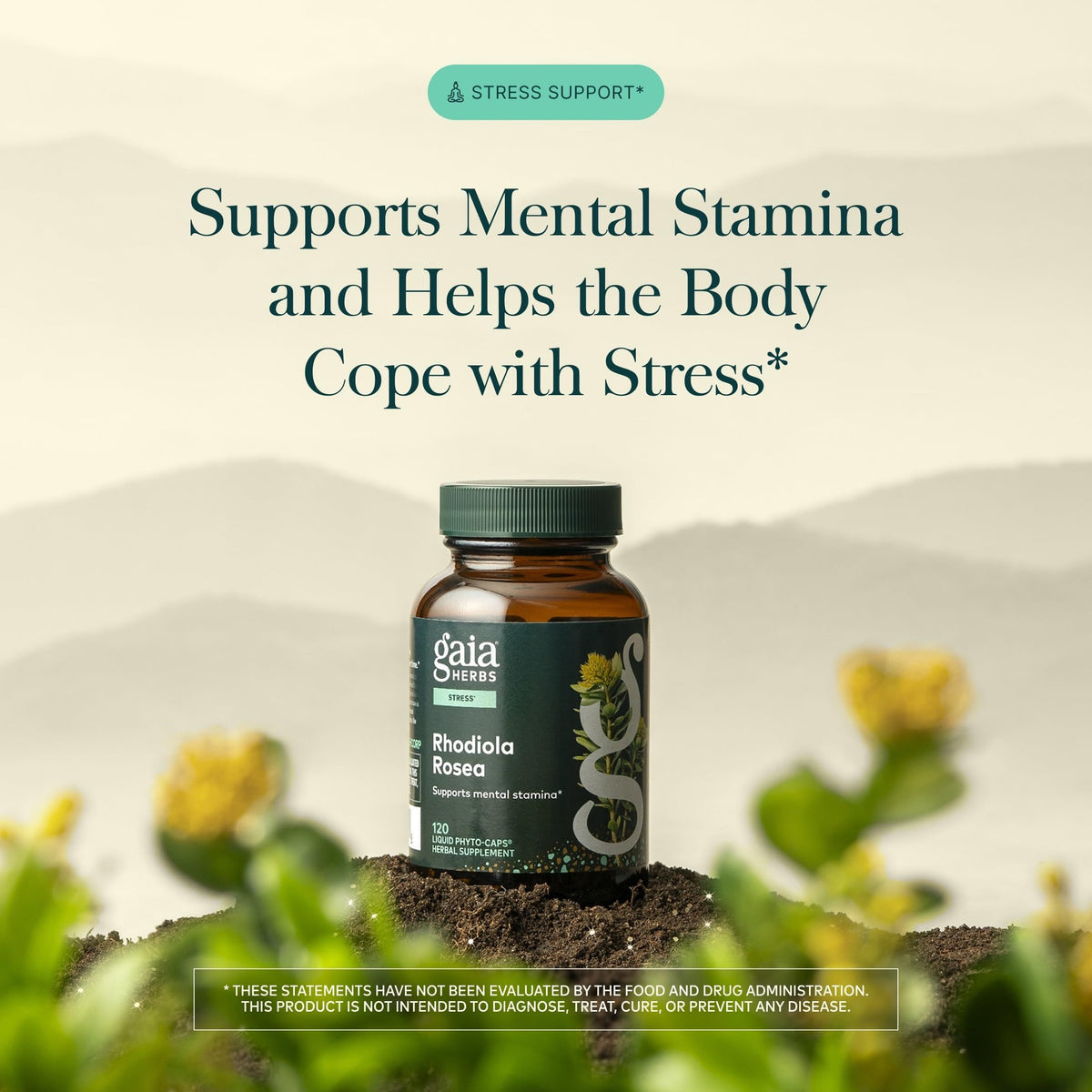 Gaia Herbs Rhodiola Rosea 120 capsules côté