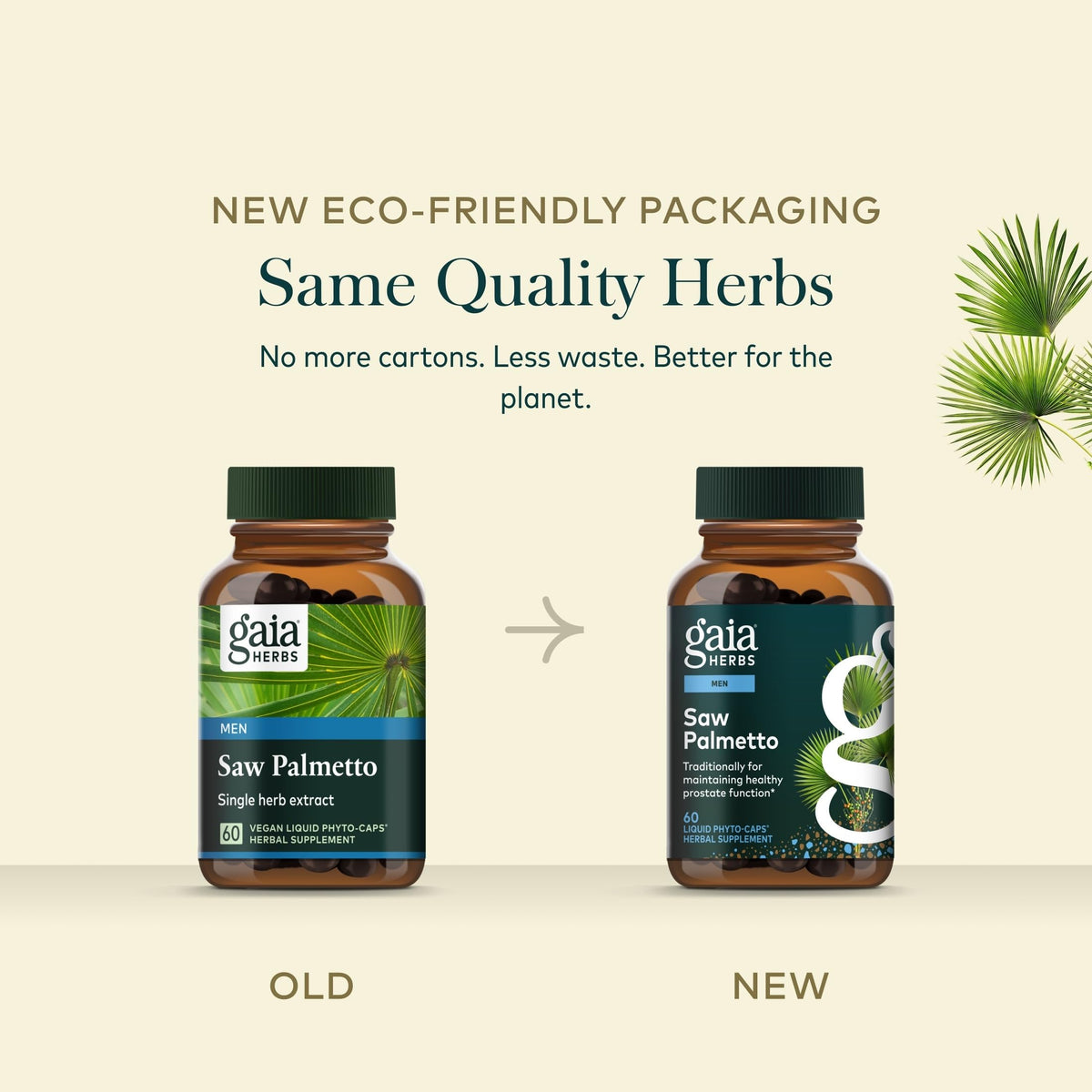 Gaia Herbs Saw Palmetto capsules avec plantes en arrière-plan