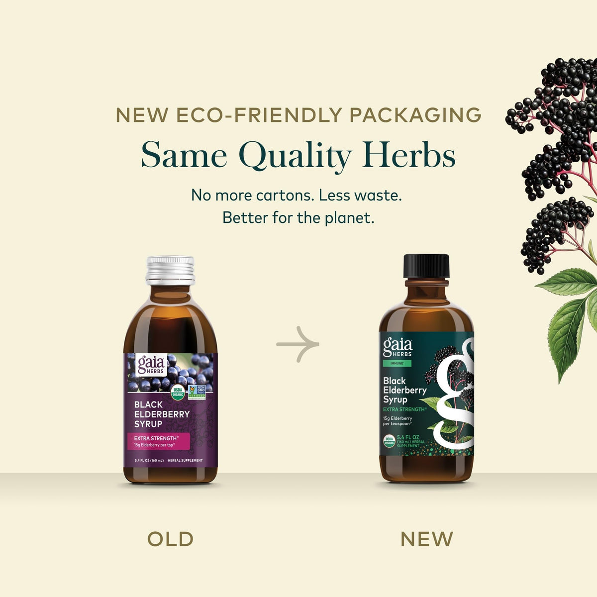 Gaia Herbs Sirop de Sureau Noir 160 ml à côté d'autres suppléments