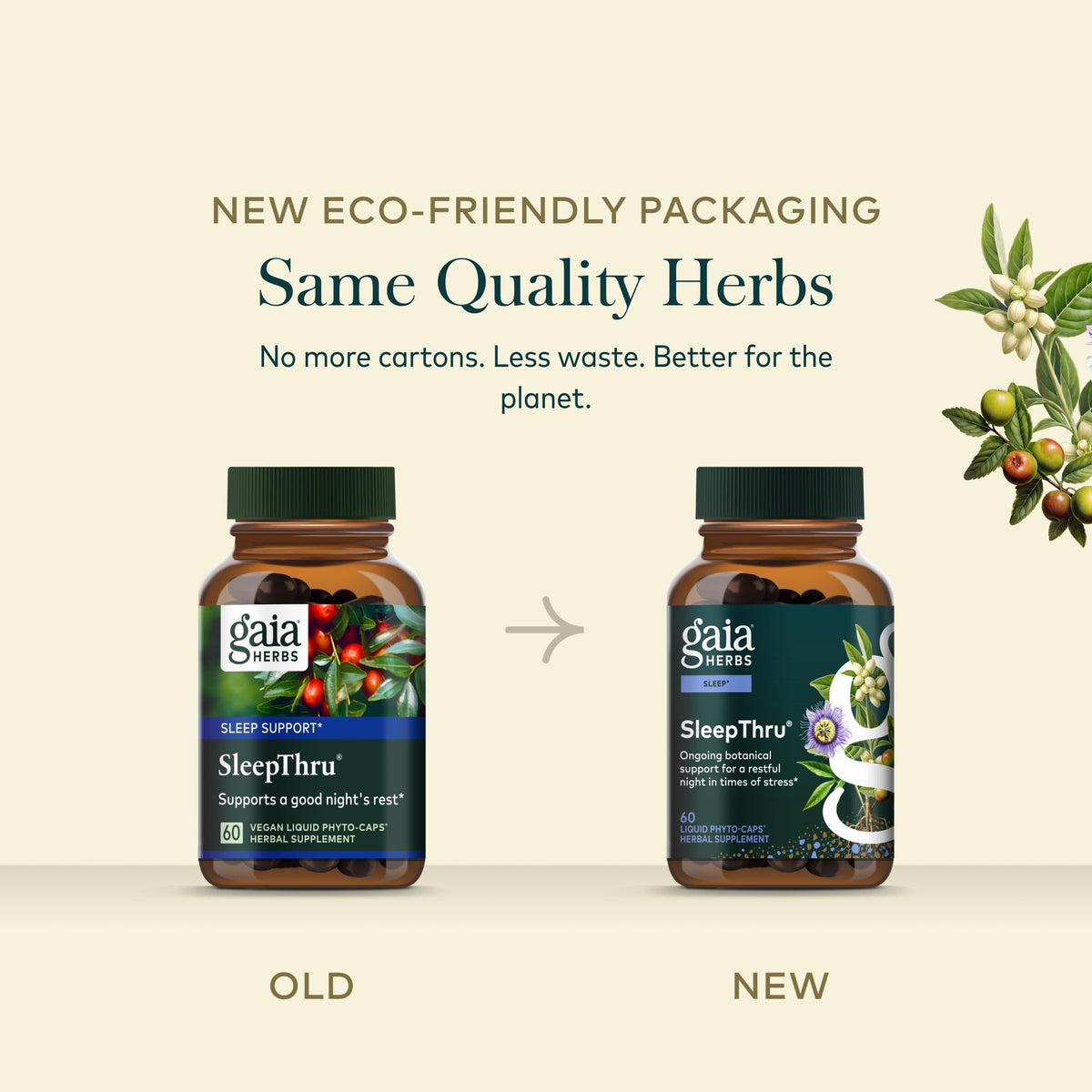 Gaia Herbs SleepThru gélules végétales ouvertes
