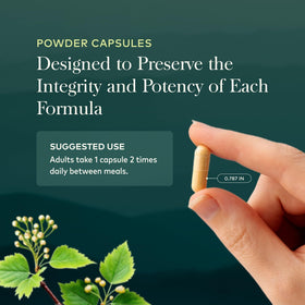 Gaia Herbs Sureau Noir capsules végétales avec ingrédients