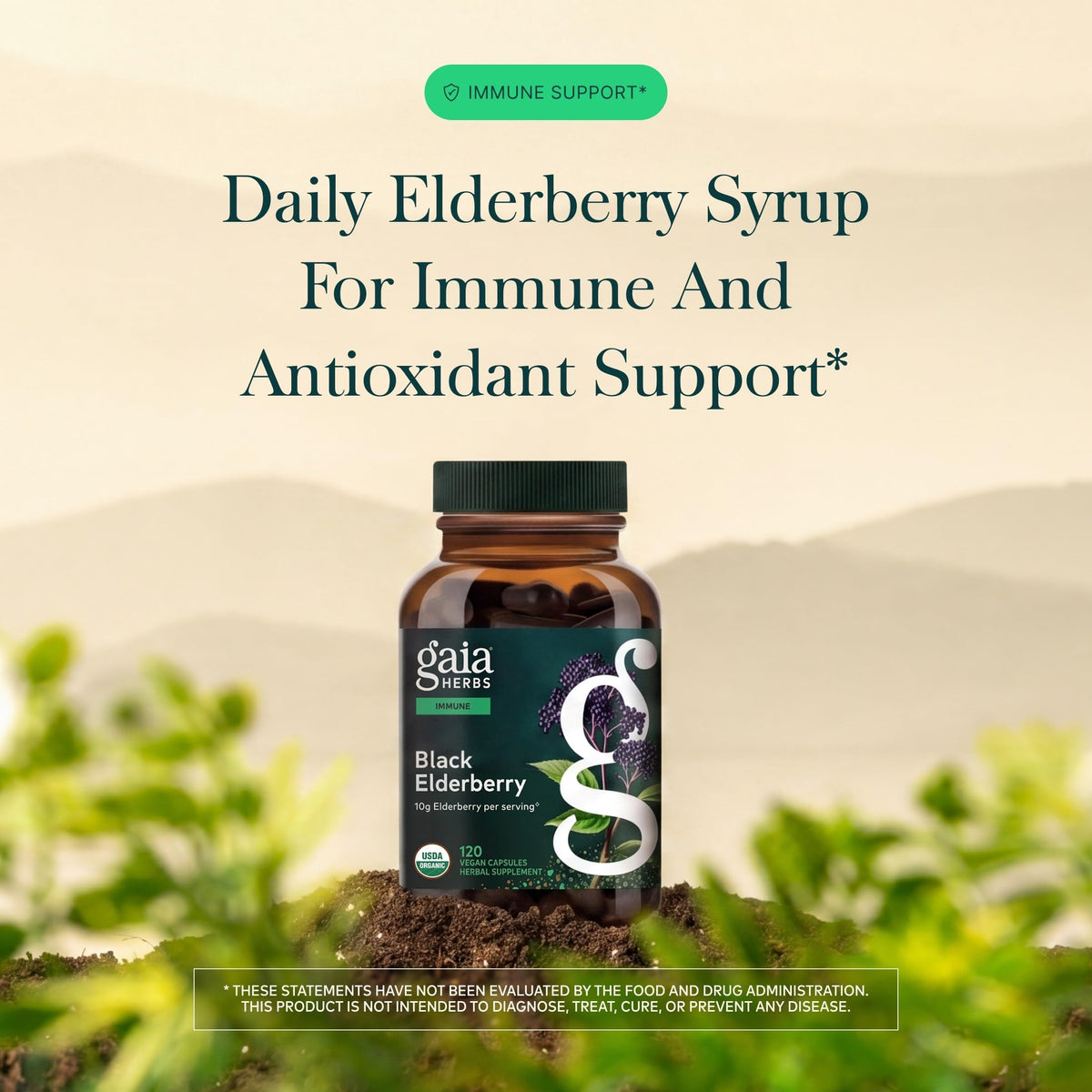 Gaia Herbs Sureau Noir capsules végétales sur fond blanc