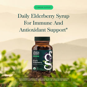 Gaia Herbs Sureau Noir capsules végétales sur fond blanc