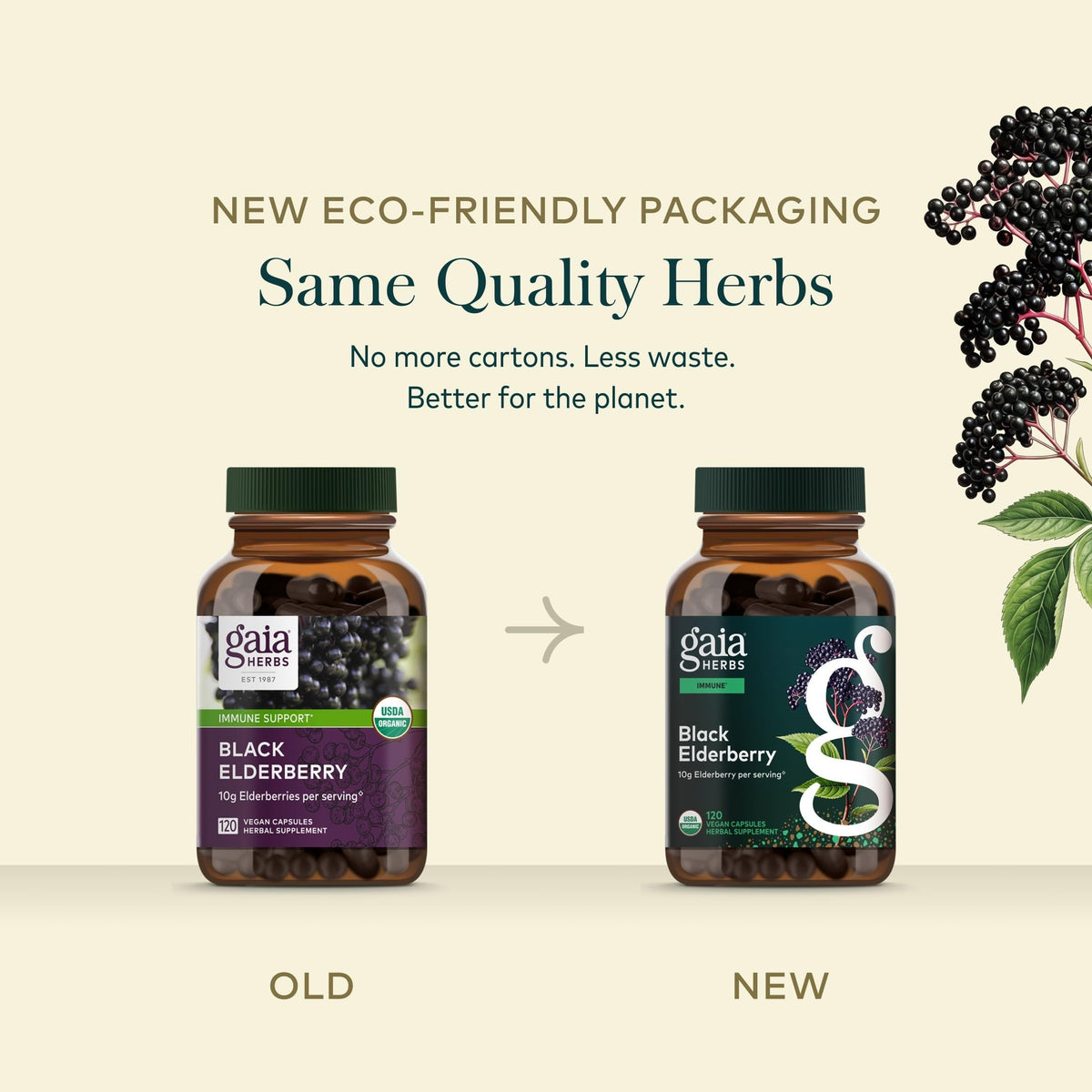 Gaia Herbs Sureau Noir capsules végétales sur table en bois