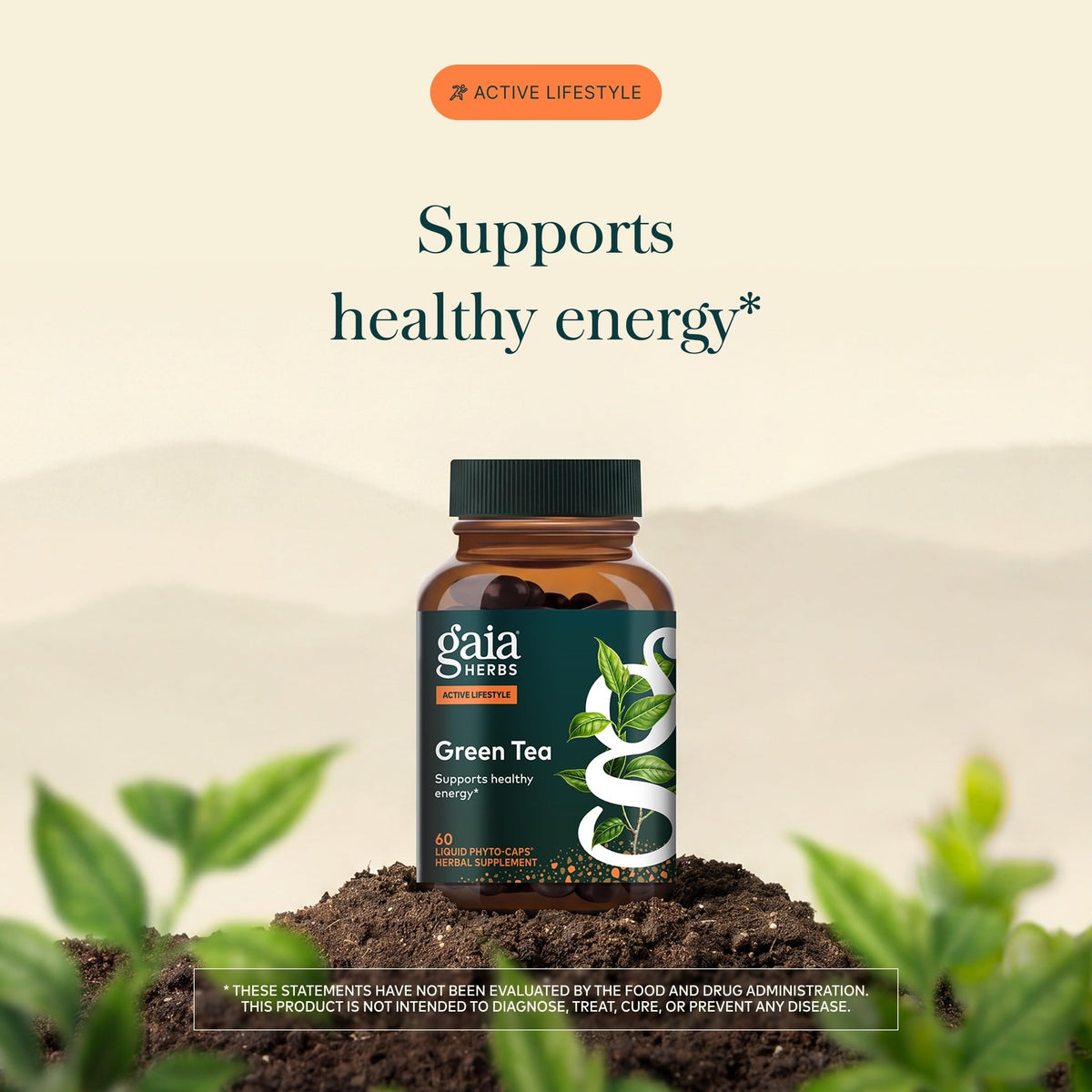 Gaia Herbs Thé Vert 60 Capsules Végétaliennes - ingrédients