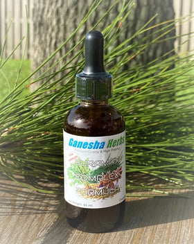 Ganesha Herbs SURAMAX complexe de pousses de pin dans un cadre de cuisine