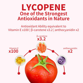 GANOHERB Complément Alimentaire Lycopène 100mg avec Reishi, présentation des ingrédients