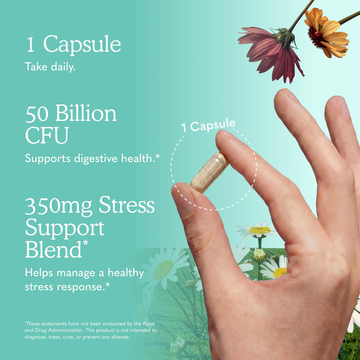 Garden of Life Calm capsules ouvertes
