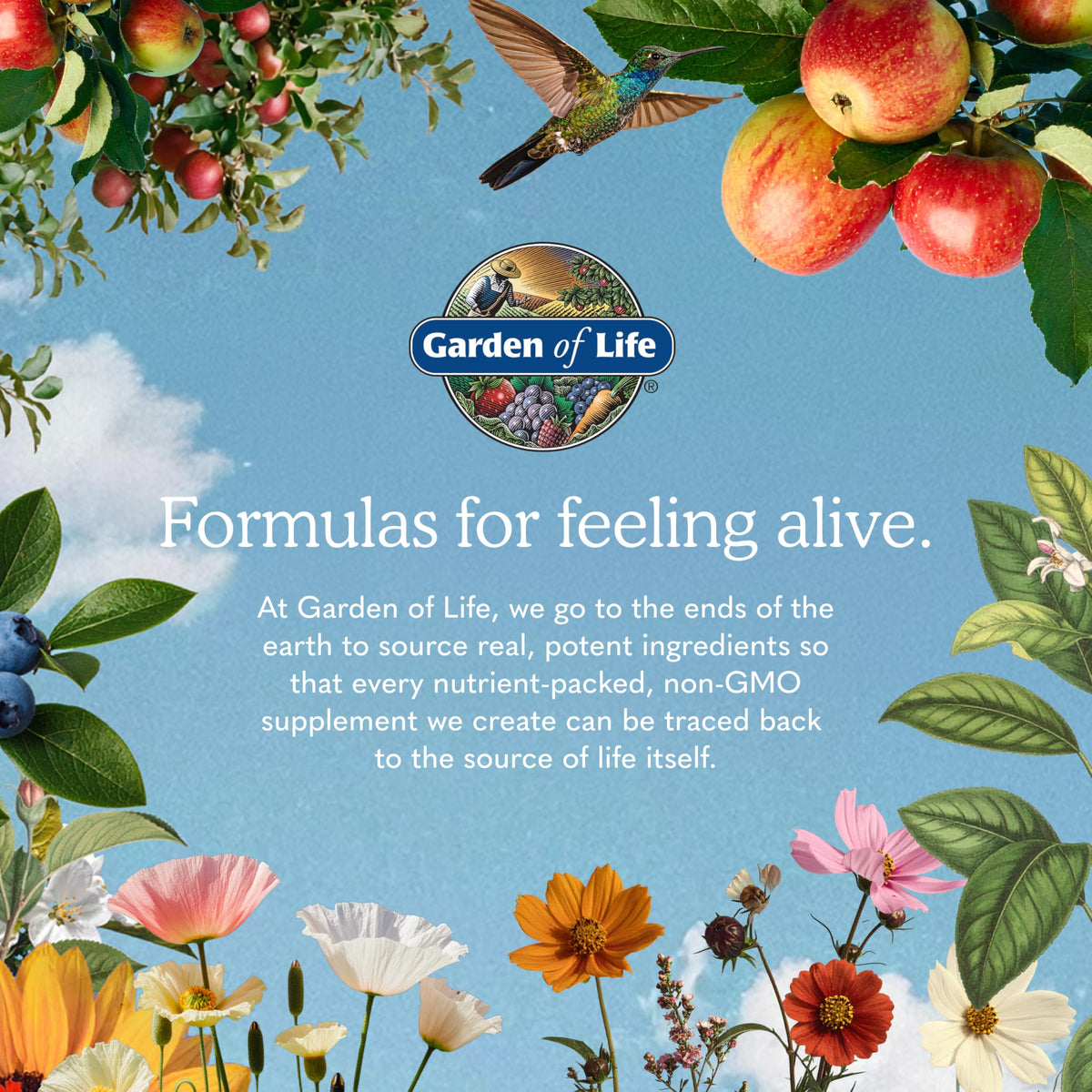 Garden of Life Calm capsules sur table