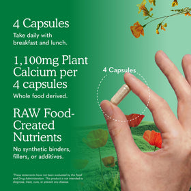 Garden of Life Complément Alimentaire Calcium Cru 120 Capsules ouvertes