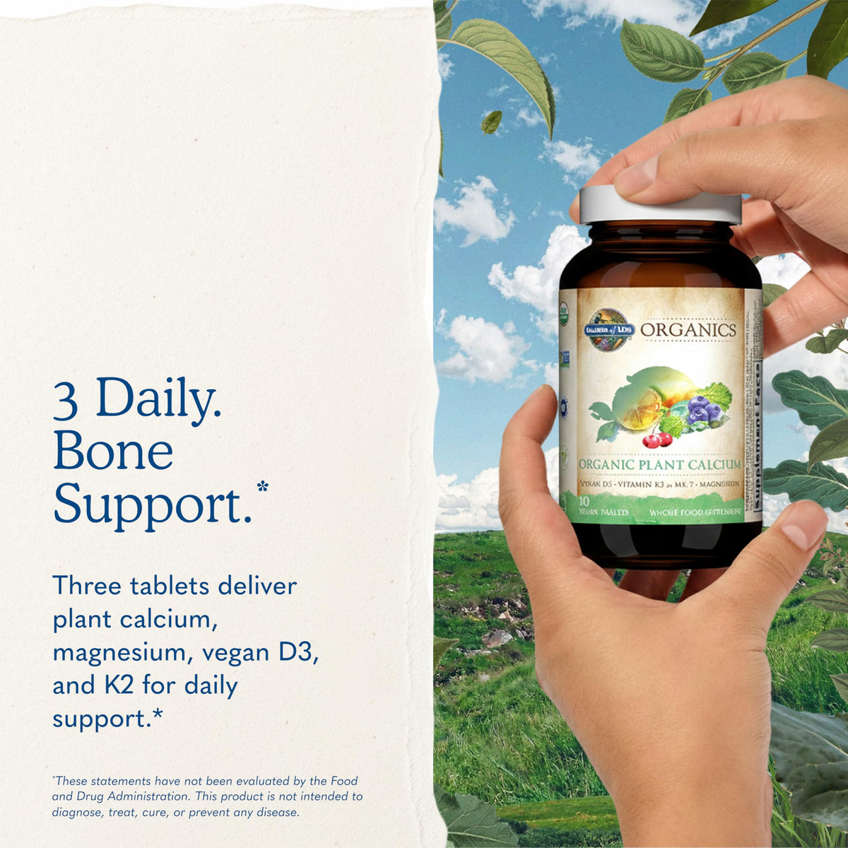 Garden of Life Complément Alimentaire Calcium Végétal 180 comprimés avec étiquette