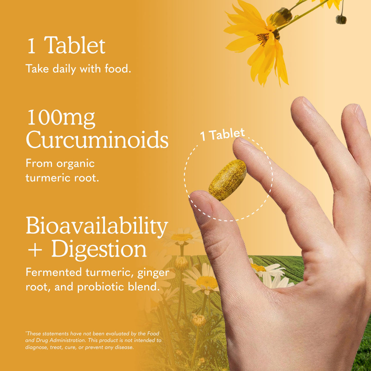 Garden of Life Complément Alimentaire Curcuma comprimés sur une table