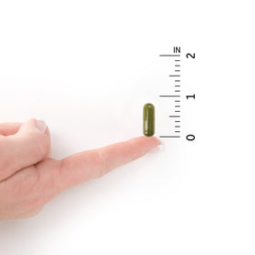 Garden of Life Complément Alimentaire D3 2000 UI 60 Capsules Végétariennes avec ingrédients
