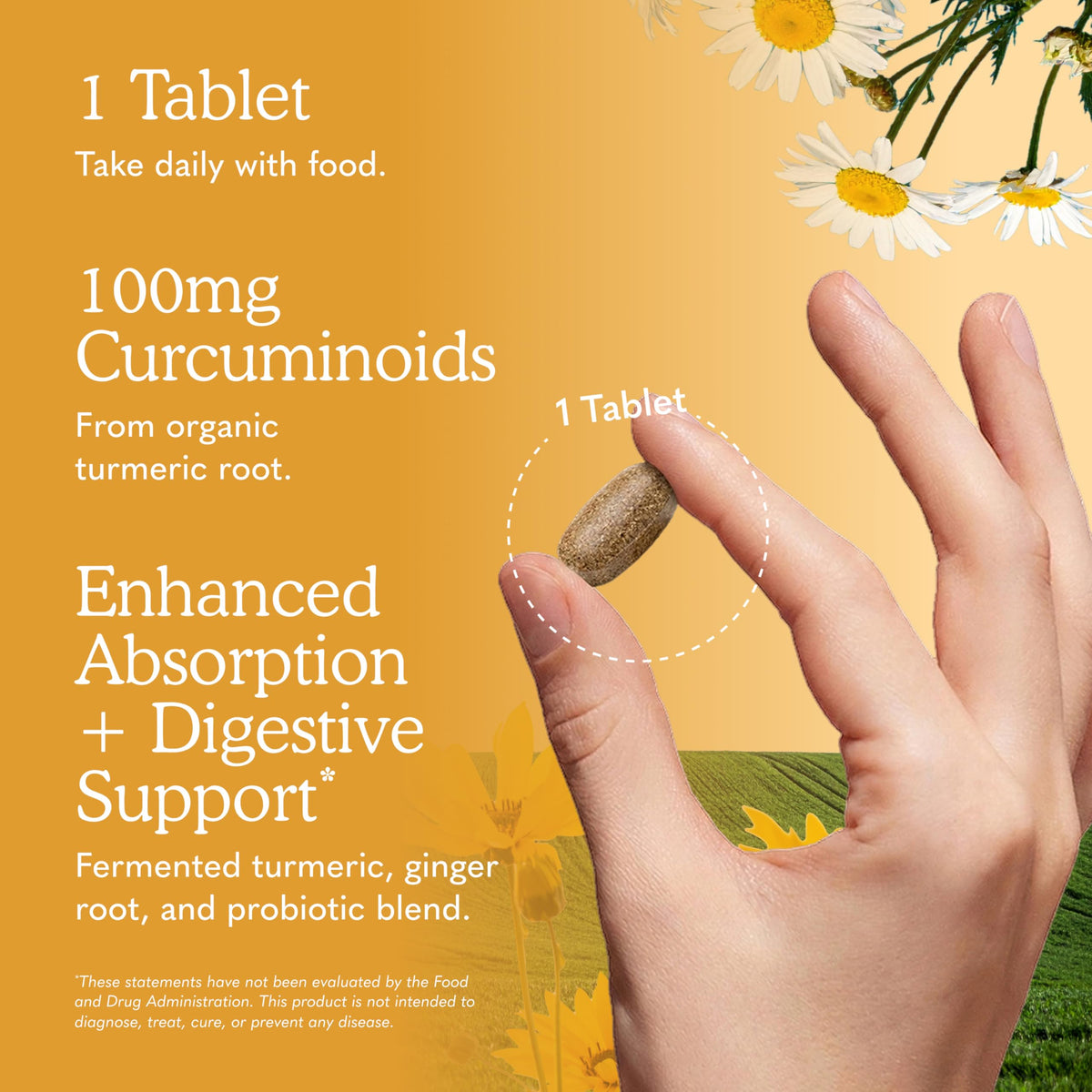 Garden of Life Curcuma comprimés dans une main