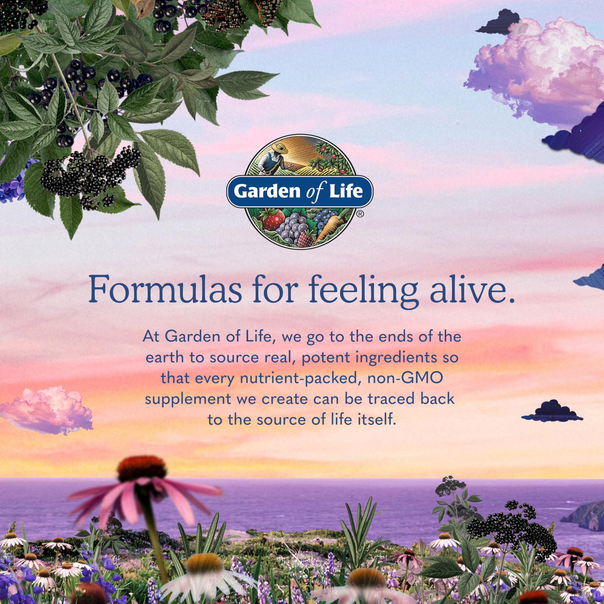Garden of Life Gummies Curcuma 120 gélifiés avec des fruits frais