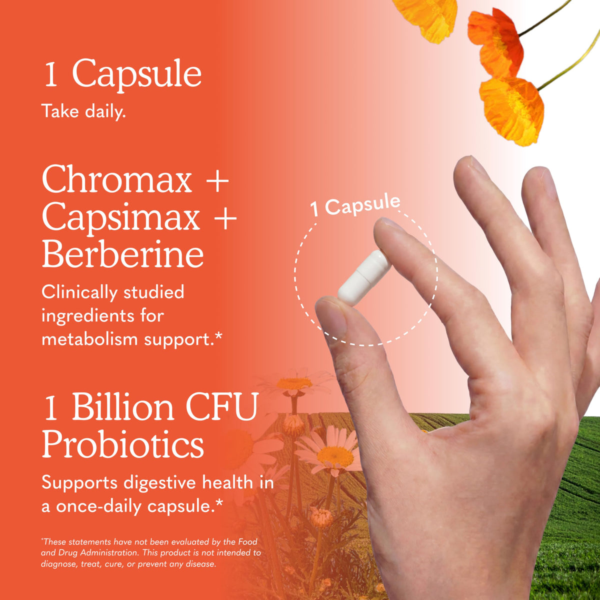 Garden of Life Multi+ Soutien Métabolisme 30 Capsules, capsules individuelles