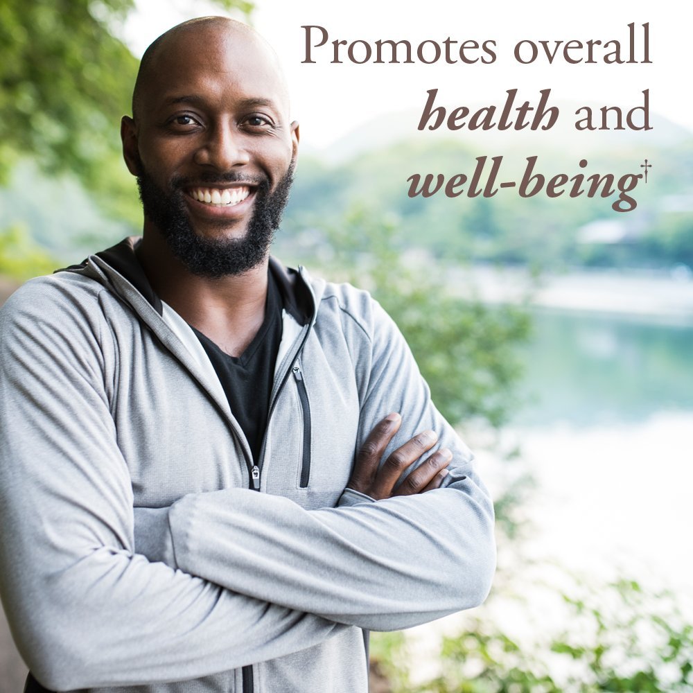 Garden of Life Multivitamine Homme 40+ 60 comprimés vue arrière