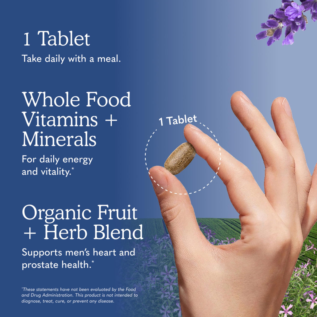 Garden of Life Multivitamine Quotidienne Bio pour Hommes - comprimés dans la main