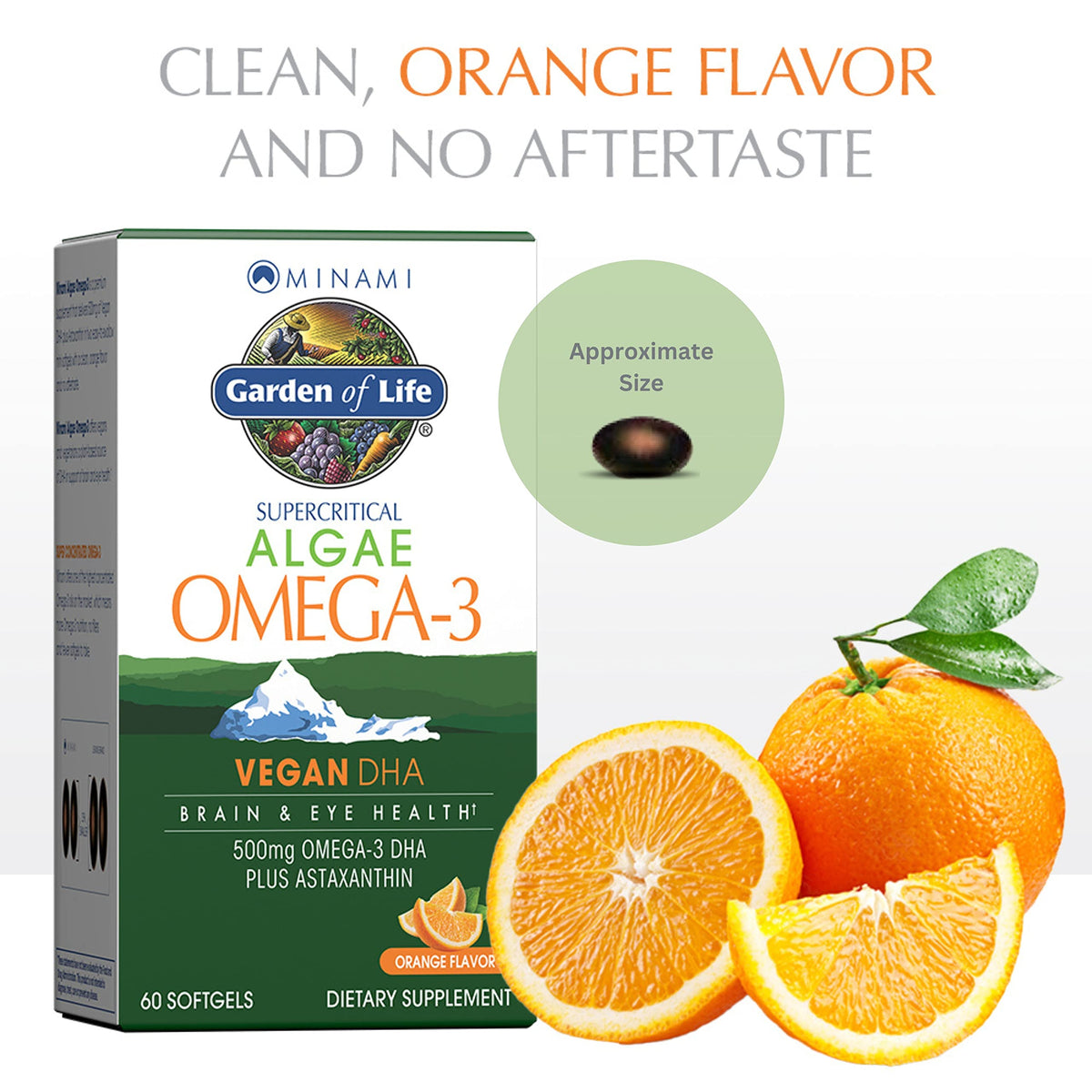 Garden of Life Omega 3 DHA Végétalien, étiquette arrière