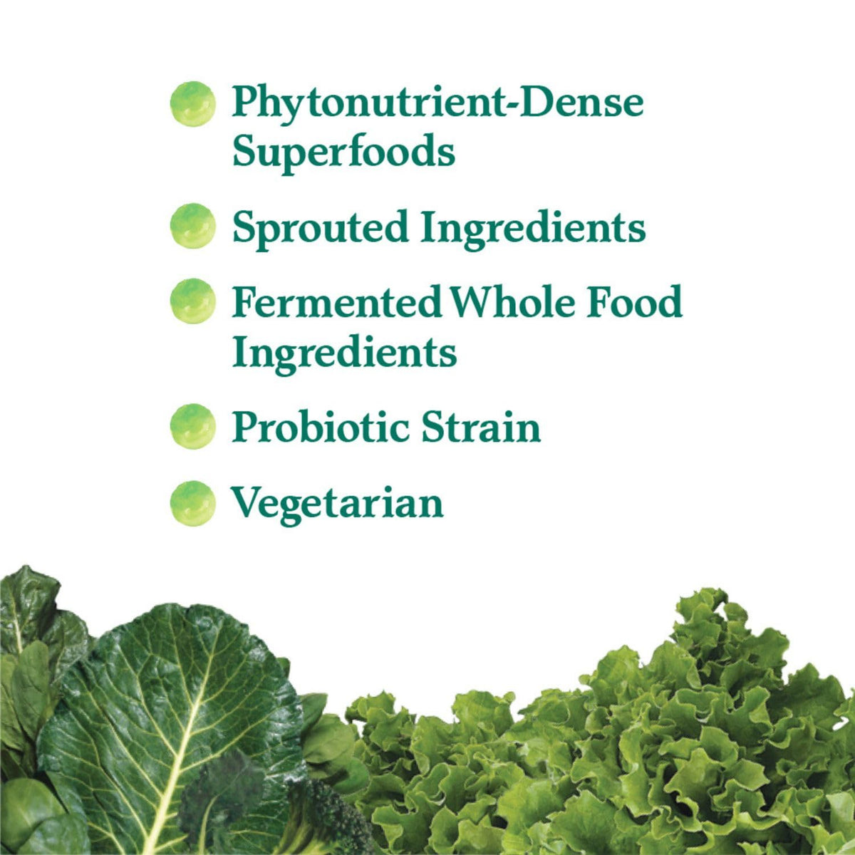 Garden of Life Perfect Food Original Super Green Formula 200g powder scoop