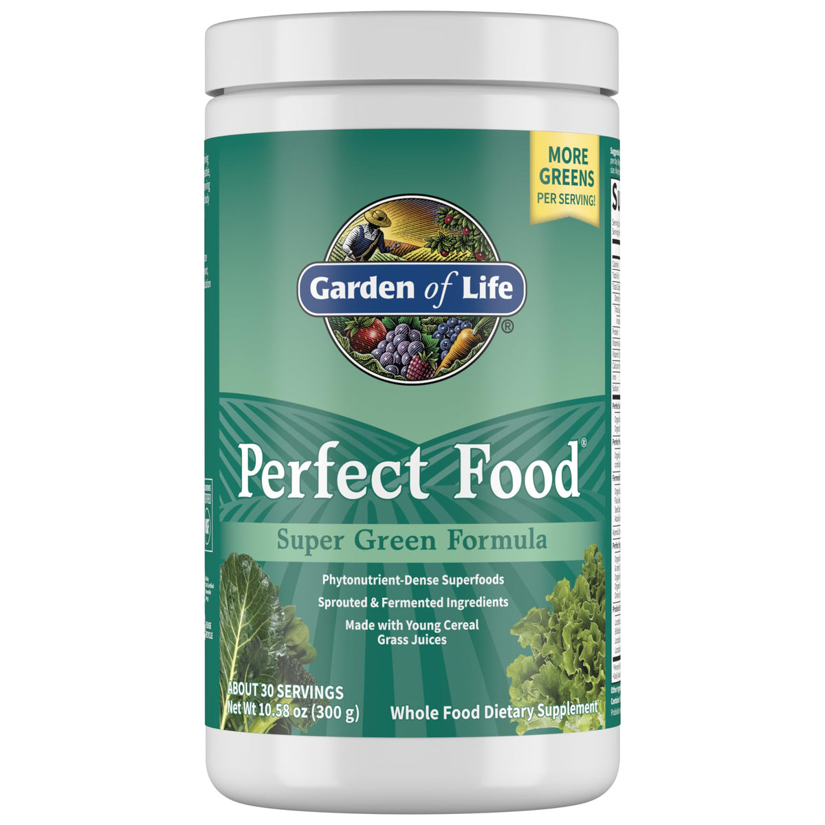 Garden of Life Perfect Food Original Super Green Formula 399g front view