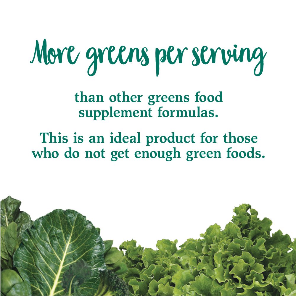 Garden of Life Perfect Food Original Super Green Formula 399g packaging details