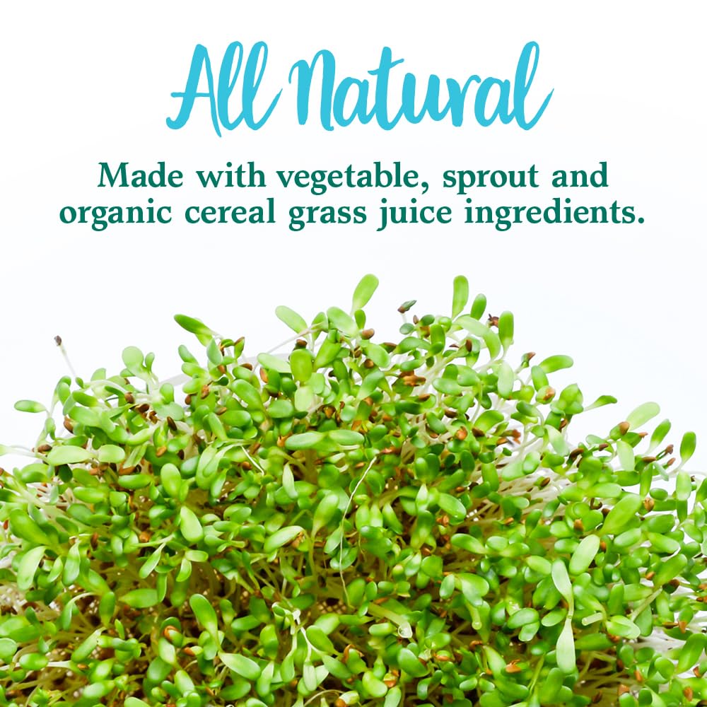 Garden of Life Perfect Food Original Super Green Formula 399g serving suggestion