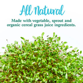Garden of Life Perfect Food Original Super Green Formula 399g serving suggestion