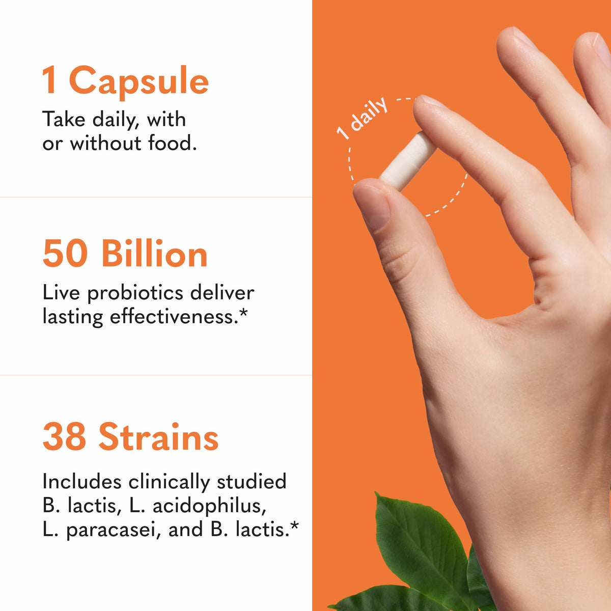Garden of Life Probiotiques 30 capsules dans un flacon