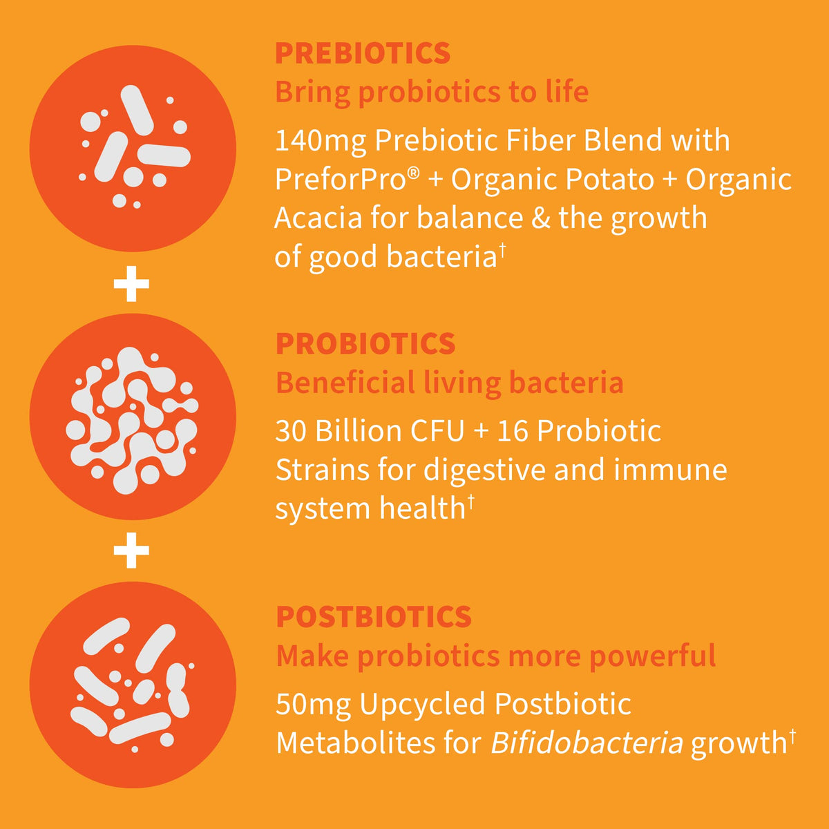 Garden of Life Probiotiques 30 Capsules Végétariennes avec étiquette