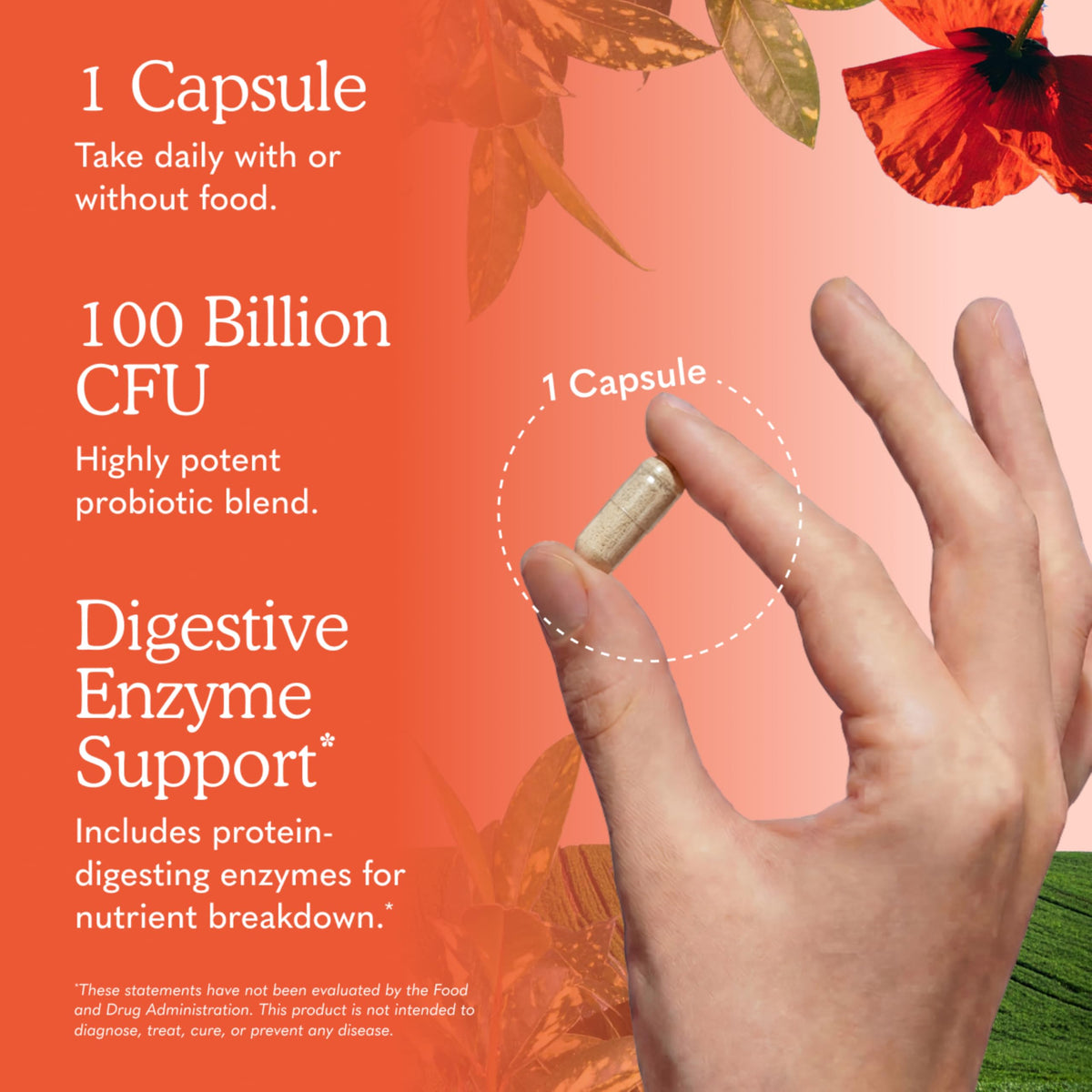 Garden of Life Probiotiques Bruts capsules en gros plan