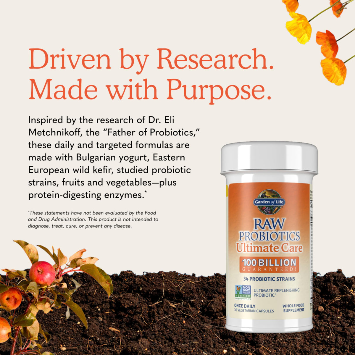 Garden of Life Probiotiques Bruts capsules sur fond blanc