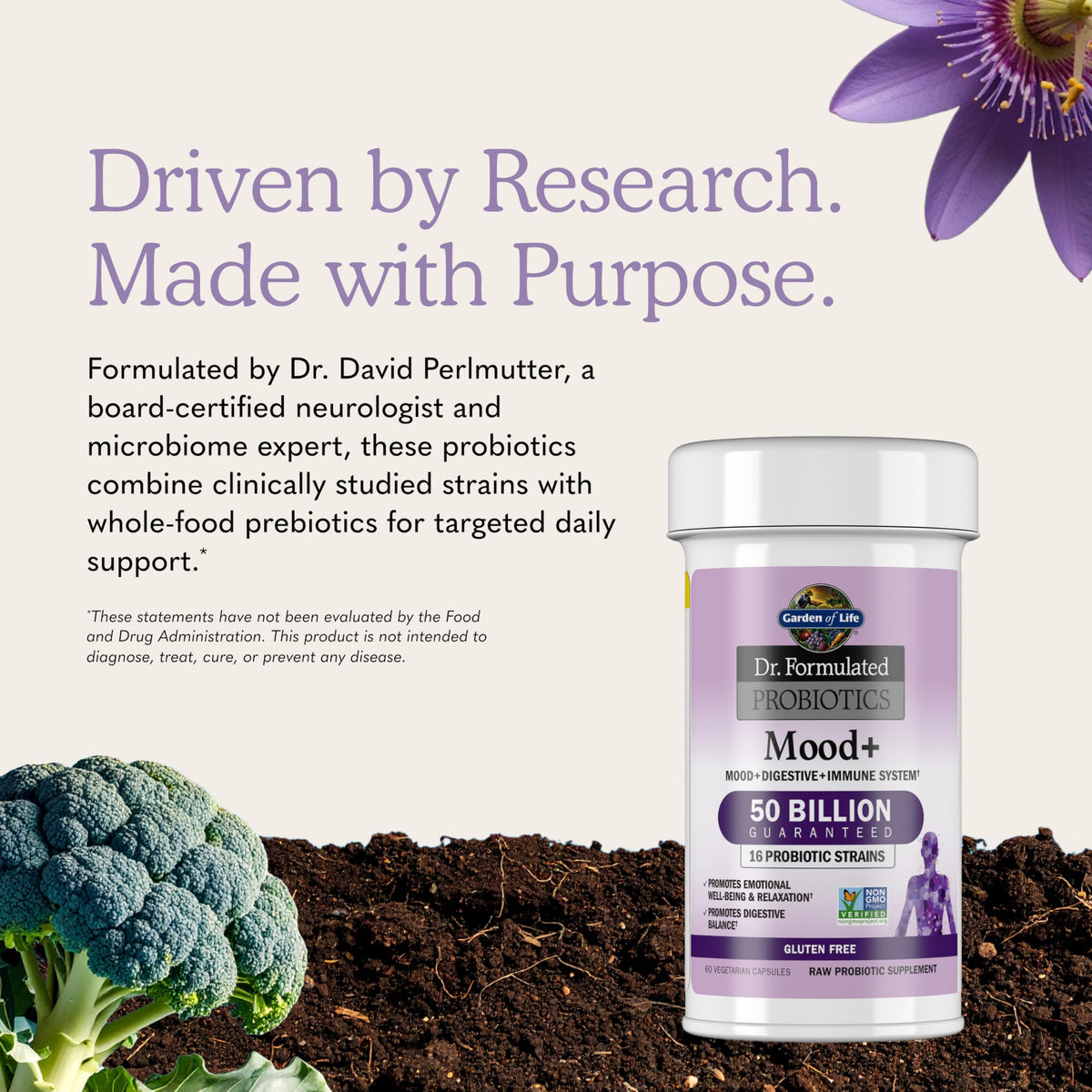 Garden of Life Probiotiques Mood+ capsules à côté de myrtilles