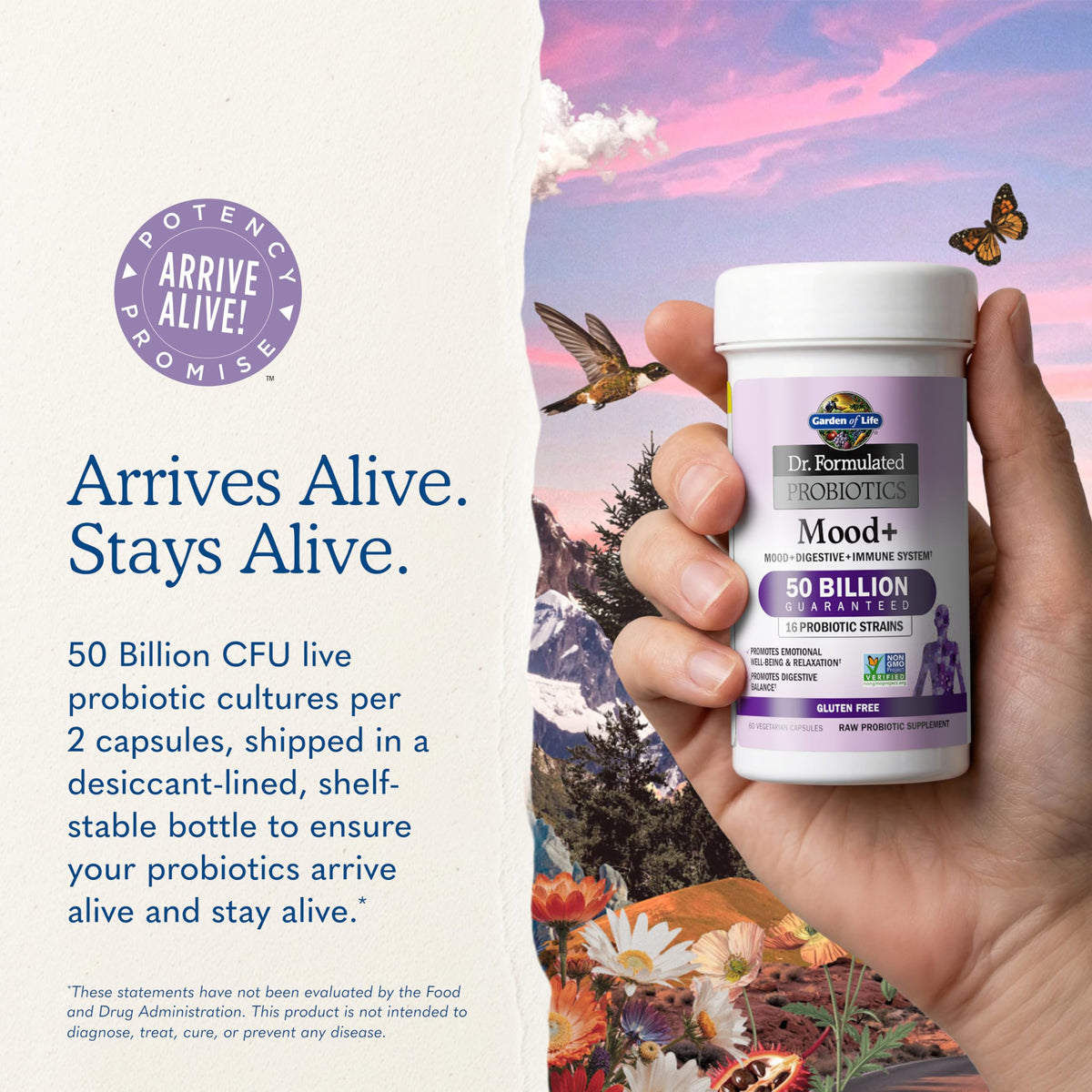 Garden of Life Probiotiques Mood+ capsules avec ashwagandha