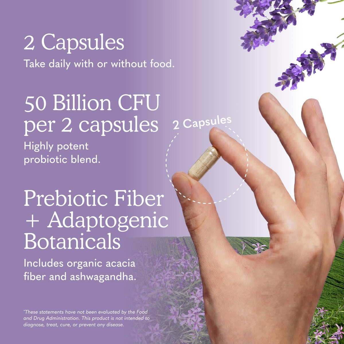 Garden of Life Probiotiques Mood+ emballage avec informations nutritionnelles