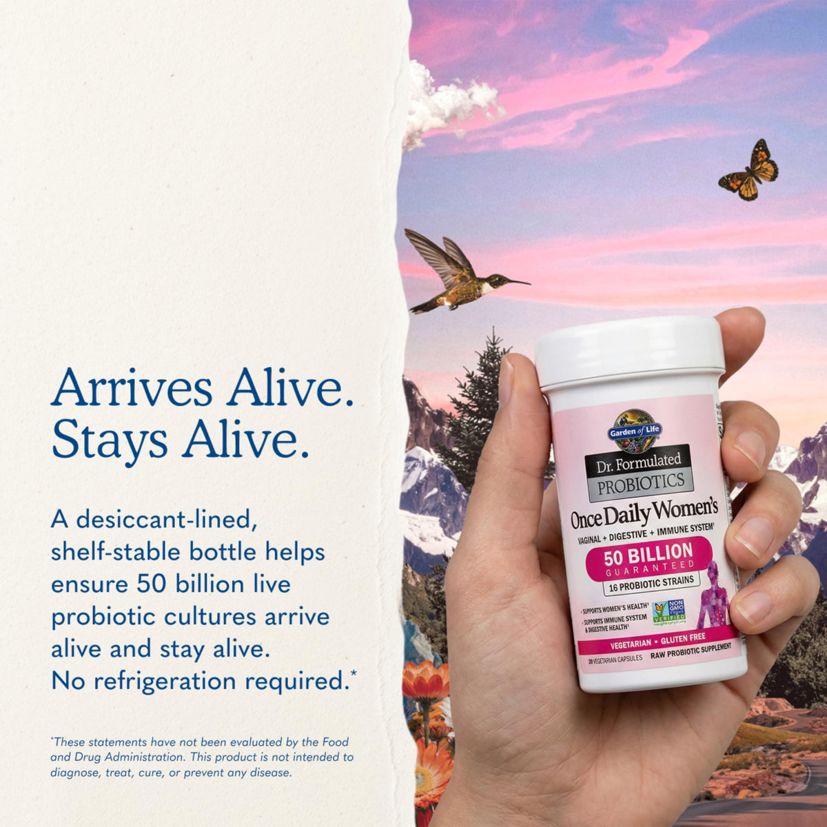 Garden of Life Probiotiques pour Femmes 30 Capsules à côté d'aliments