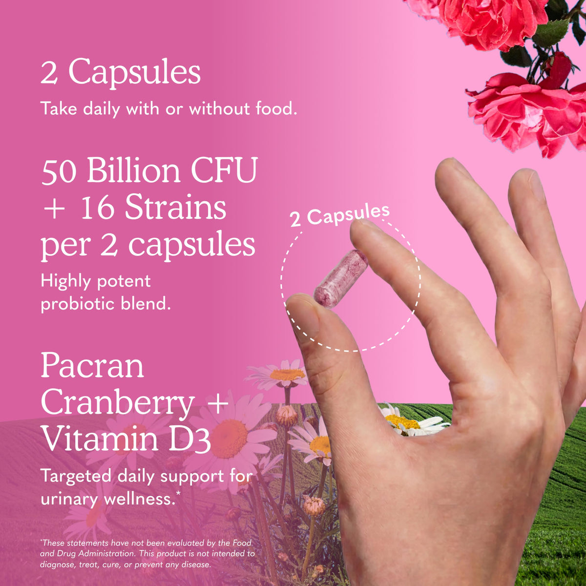 Garden of Life Probiotiques Urinary Tract+ avec des fruits de cranberry