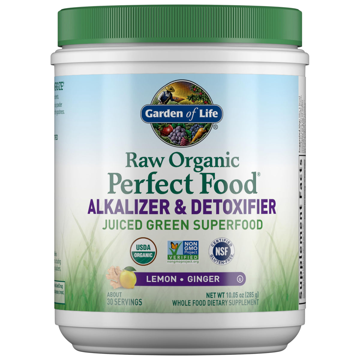 Garden of Life RAW Organic Perfect Food 340g front view