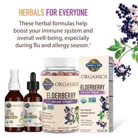 Garden of Life Sirop de Sureau Bio 195 ml - vue latérale