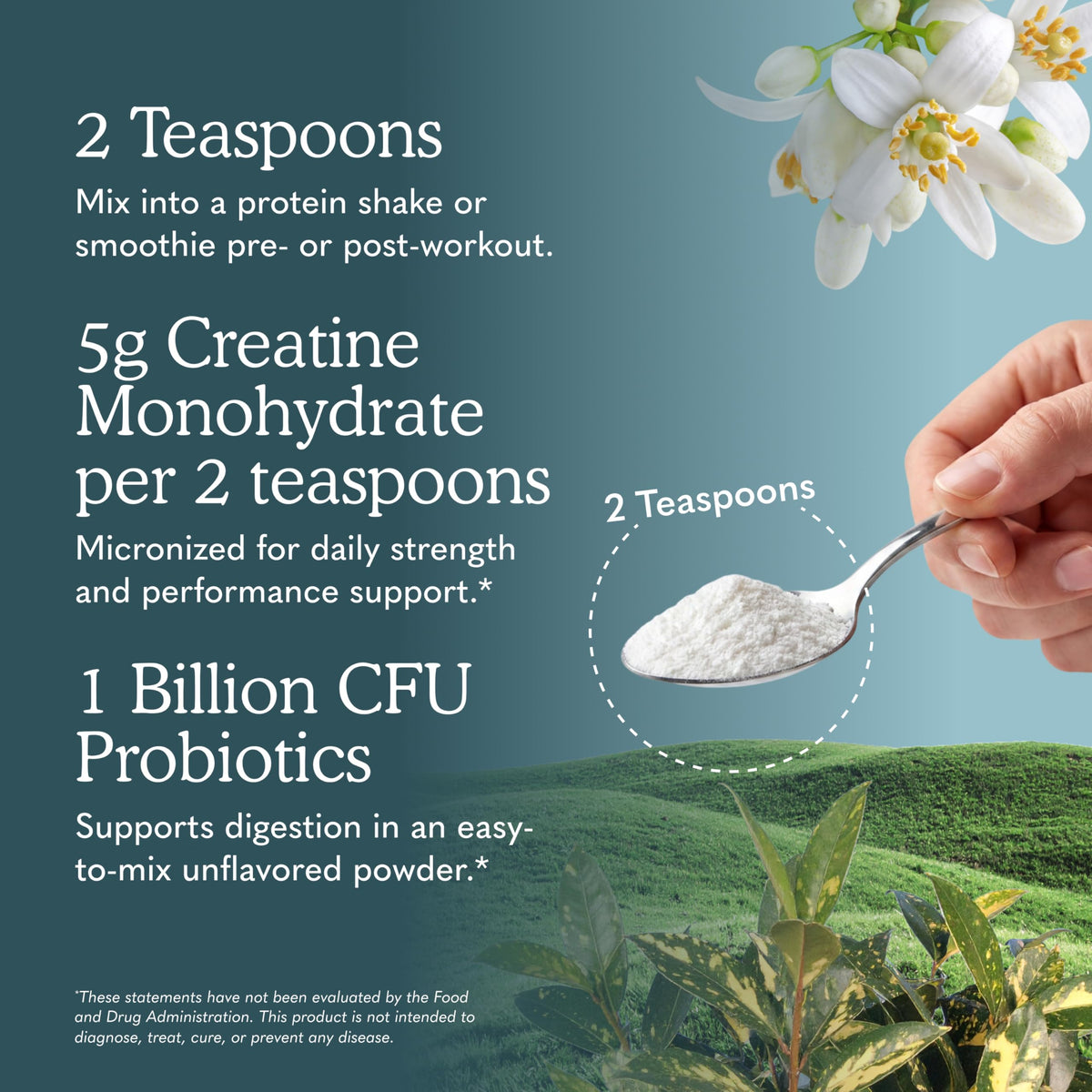 Garden of Life Sport Creatine Monohydrate Powder mixed in a smoothie