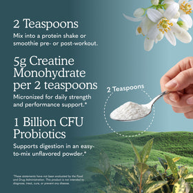 Garden of Life Sport Creatine Monohydrate Powder mixed in a smoothie