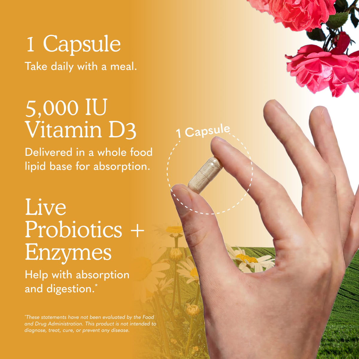 Garden of Life Vitamine D3 5000 IU 60 Capsules Végétariennes, capsules sur une cuillère