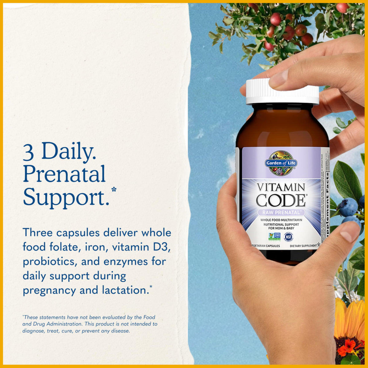 Garden of Life Vitamines Prénatales Code avec fruits et légumes